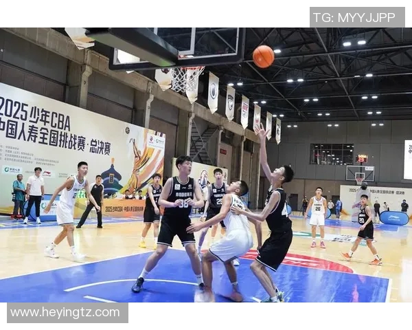 哈尔滨少年CBA城市赛成功落幕,未来篮球星闪亮登场 哈尔滨少年CBA城市赛成功落幕,未来篮球星闪亮登场